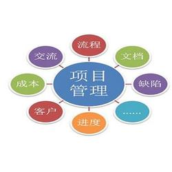 企業(yè)管理咨詢(xún)服務(wù) 管理咨詢(xún)服務(wù) 信恒新市場(chǎng)研究咨詢(xún)機(jī)構(gòu)